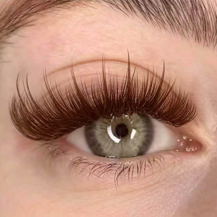 Brown Premium Lashes Colored Volume Eyelash Extensions