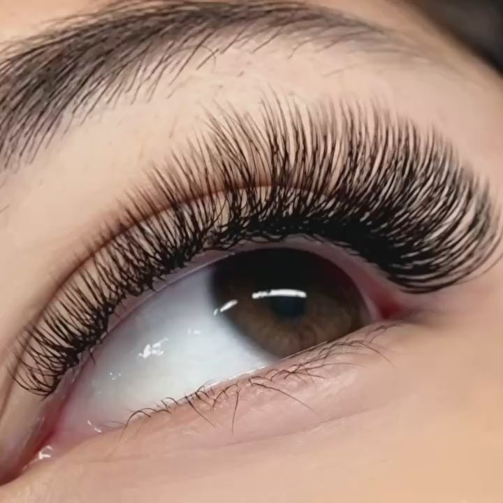 KOLYBEL LASH U-Shape W / U-W 4D Lashes PROOMADE LASHES PROMADE FANS PREMADE LASHES PREMADE FANS